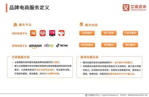 2023年中國品牌電商服務(wù)行業(yè)研究報(bào)告 信息咨詢服務(wù)的價(jià)值重塑與發(fā)展洞察